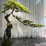 Artificial Bonsai